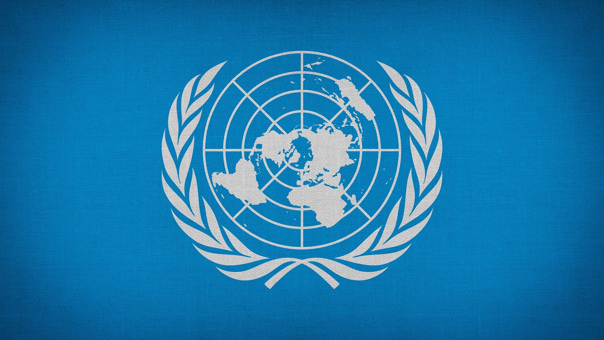 ONU actualiza su Manual de precios de trasferencia